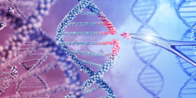 Droplet Digital PCR (ddPCR) | Bioradiations