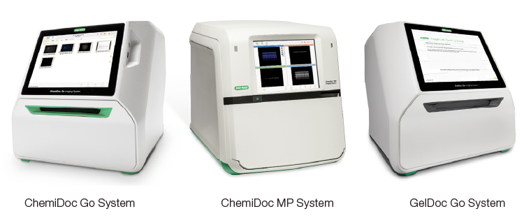 ChemiDoc and GelDoc Imaging Systems